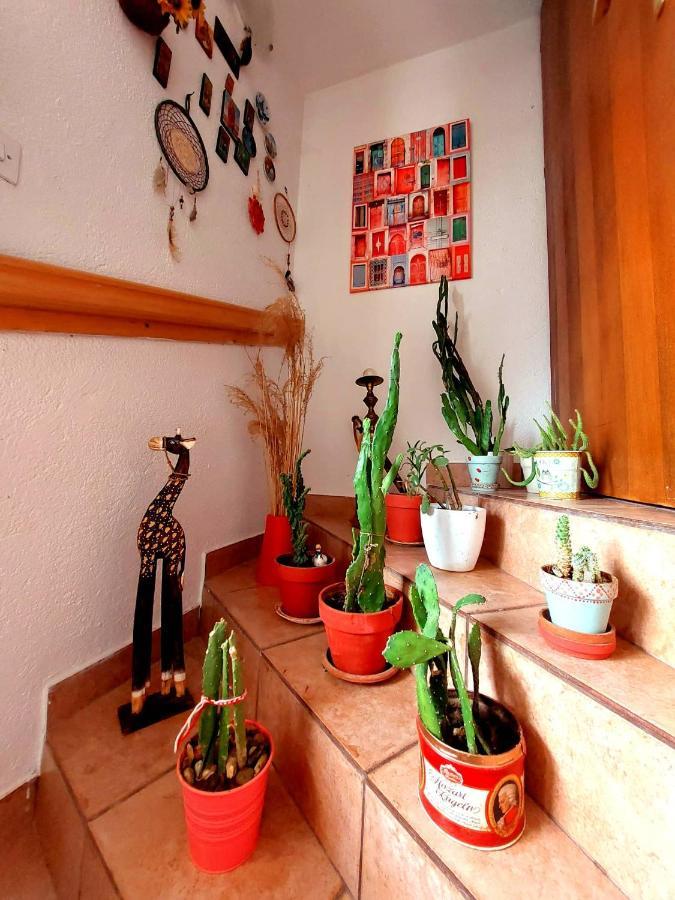 Incredible Apartment With A Mountain View - Matka Skopje Luaran gambar
