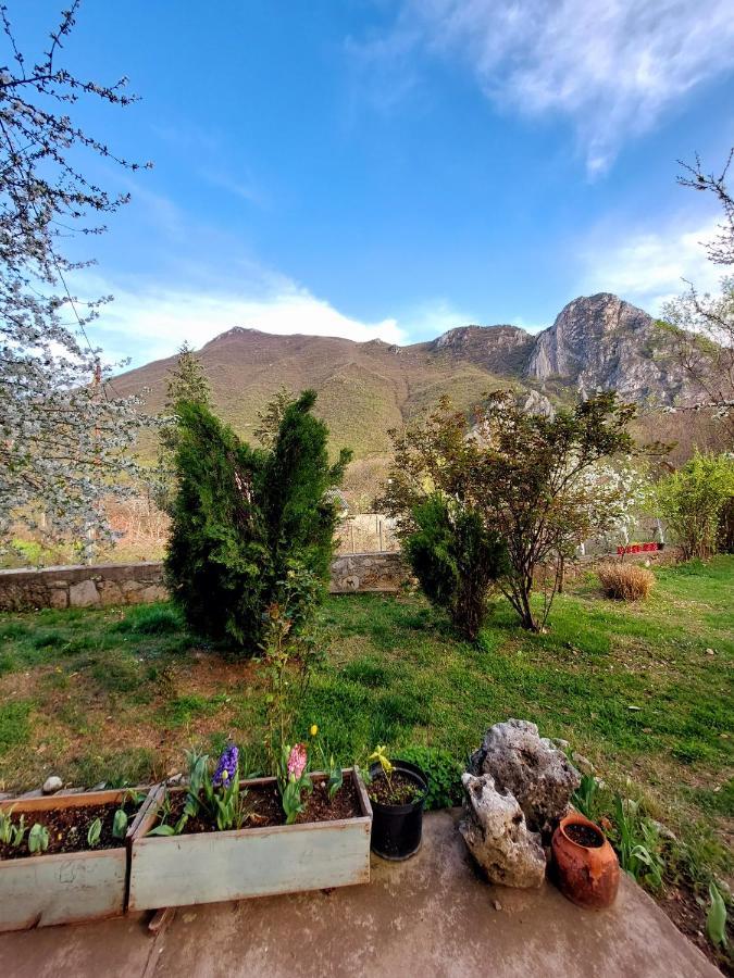 Incredible Apartment With A Mountain View - Matka Skopje Luaran gambar